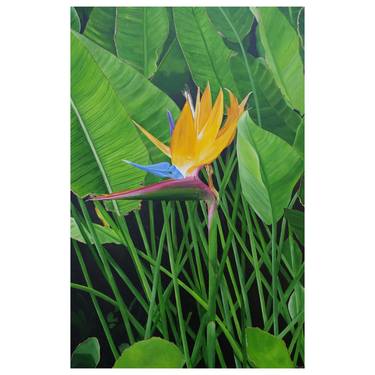 Print of Photorealism Botanic Paintings by Steven Fleit