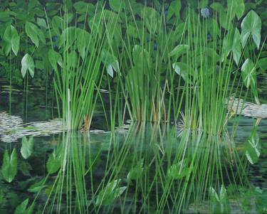 Original Botanic Paintings by Steven Fleit