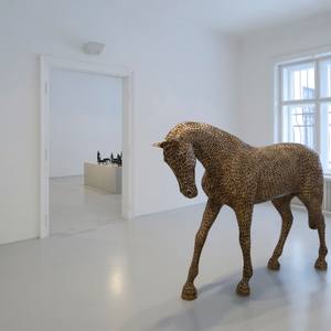 the Horse