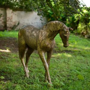 the Horse