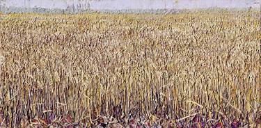 'Wheat Field, Firby, 2023' thumb