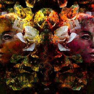 Collection limited edition print