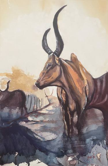 the Mundari tribe cattle thumb