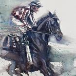 Collection watercolours 2023