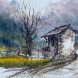 Collection china tour march 2024