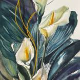 Collection watercolours 2024