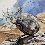the tree of 