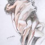 Collection drawing collection