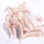 Collection drawing collection