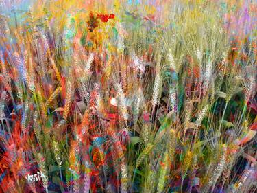 Print of Abstract Expressionism Nature Paintings by yossi kotler