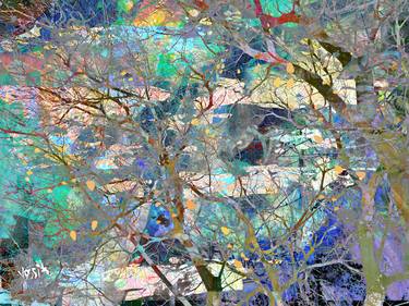 Original Abstract Expressionism Nature Mixed Media by yossi kotler