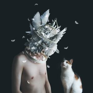 Collection Feline Figures