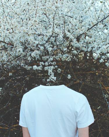 Saatchi Art Artist Simon McCheung; Photography, “Spring Bloom, Small - Limited Edition of 50” #art