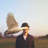 Untitled Goose Art, Small - Limited Edition of 50 by Simon McCheung