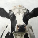Cow by James Coates