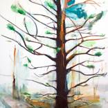 Ponderosa by James Penfield