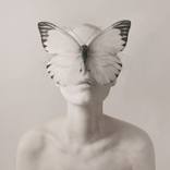 Collection Pantone Color of the Year: Cloud Dancer