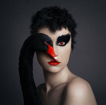 Black Swan - Limited Edition of 25 thumb
