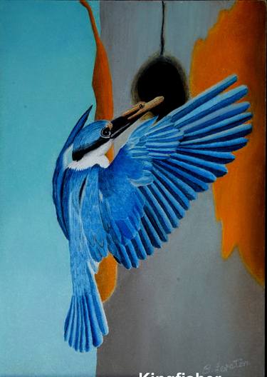 Beautiful Kingfisher thumb