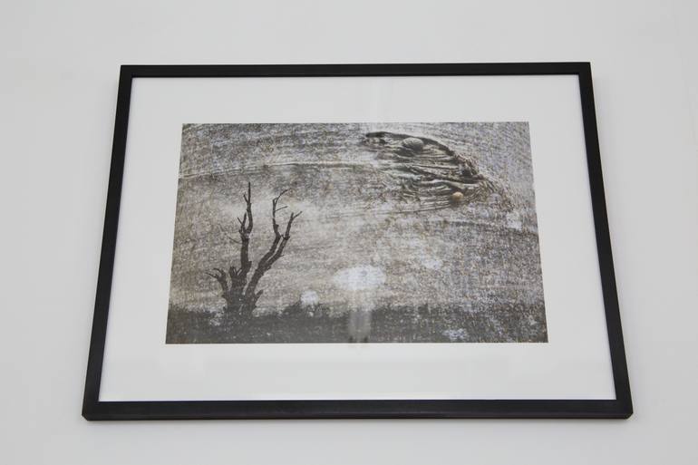 Original Fine Art Places Photography by D F