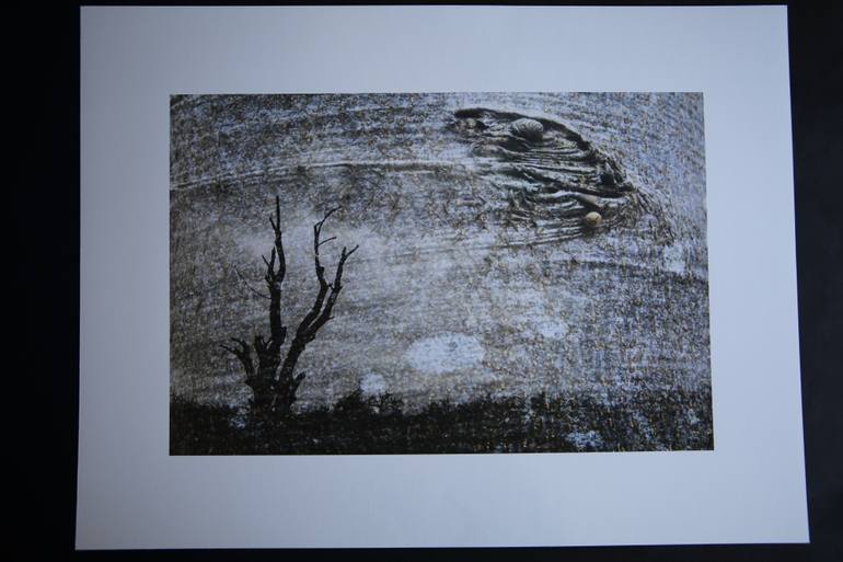 Original Fine Art Places Photography by D F