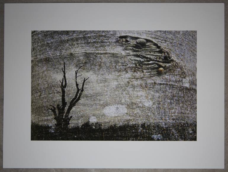 Original Fine Art Places Photography by D F