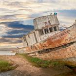 Shipwrecked in Point Reyes by Jon Glaser
