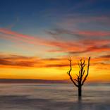 Sunrise on Botany Beach by Jon Glaser