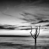 Sunrise at Botany Bay by Jon Glaser