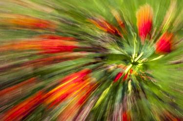 Original Fine Art Abstract Photography by Jon Glaser