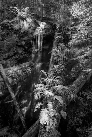 Print of Documentary Nature Photography by Jon Glaser