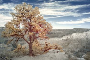 Original Landscape Photography by Jon Glaser