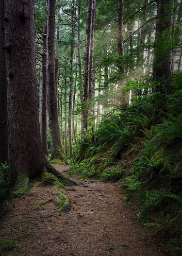 Original Landscape Photography by Jon Glaser