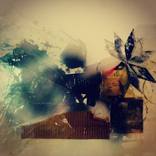 Strange Fruit by Lori Love