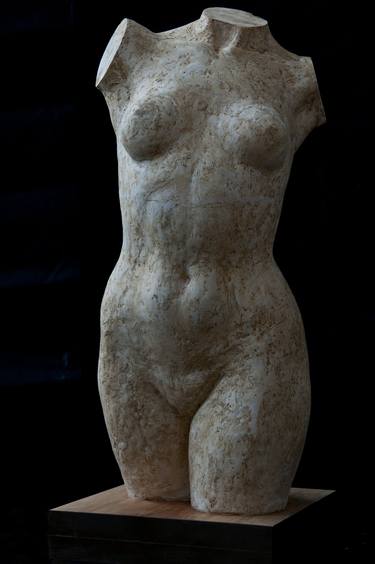 woman torso  thumb