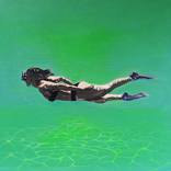 Collection Miami Modern