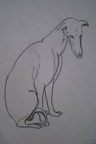 Original Realism Animal Drawings by Sonja Gajic