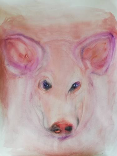 Original Expressionism Animal Paintings by Sonja Gajic