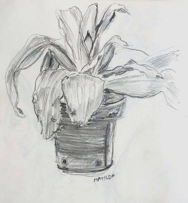 Original Expressionism Nature Drawings by Moises Alejandro Miranda Lopez