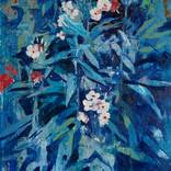 Phlox by Glib Franko