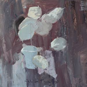 Lunaria