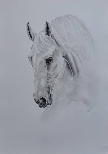Original Horse Drawings by Mel Davies