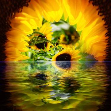 Sunflower Dreamscape thumb