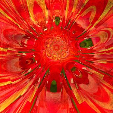 Nature's Abstracts: Red Lily thumb