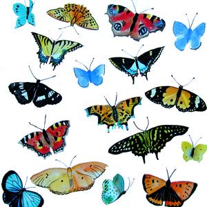 Collection Butterfly paintings