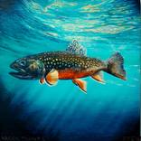 brook trout 1 by IVS art