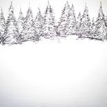 Pines in the Snow by Eric Sapien