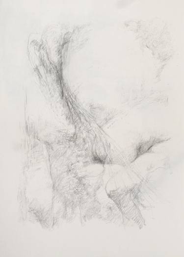 Print of Expressionism Nature Drawings by Han Chunlin