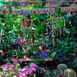 Flower shop by Rudi Sebastian