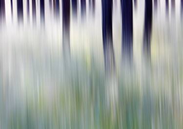 Original Abstract Nature Photography by Rudi Sebastian